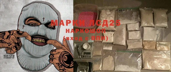 ПСИЛОЦИБИНОВЫЕ ГРИБЫ Арсеньев