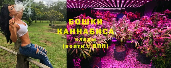 ПСИЛОЦИБИНОВЫЕ ГРИБЫ Арсеньев