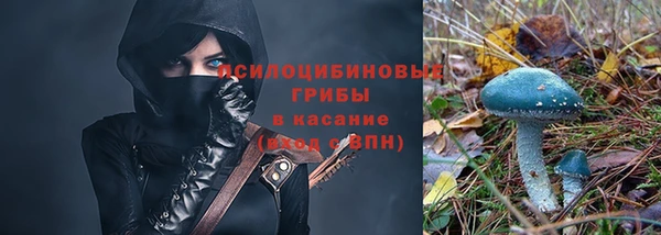 прущий лед Аркадак