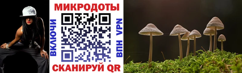 Псилоцибиновые грибы мицелий Карачев