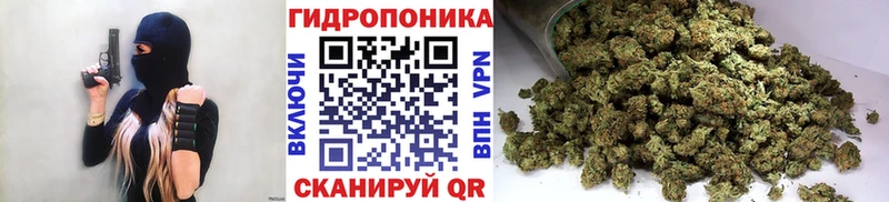 МАРИХУАНА Ganja  Карачев 